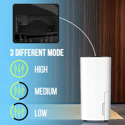 Advance ADPH120C Dehumidifier – 11L Capacity for Home & Office | Covers up to 250 Sq. Ft.